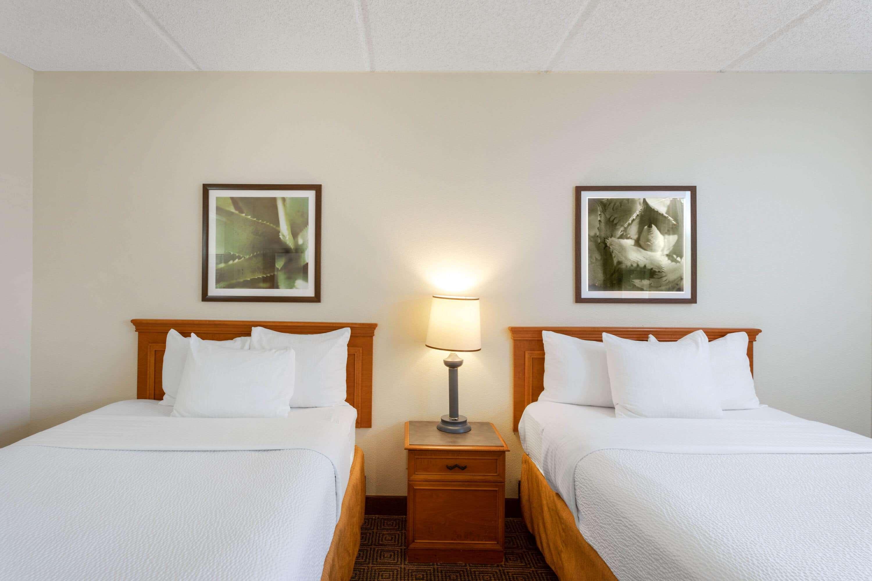 La Quinta Inn & Suites By Wyndham Jacksonville Mandarin Dış mekan fotoğraf
