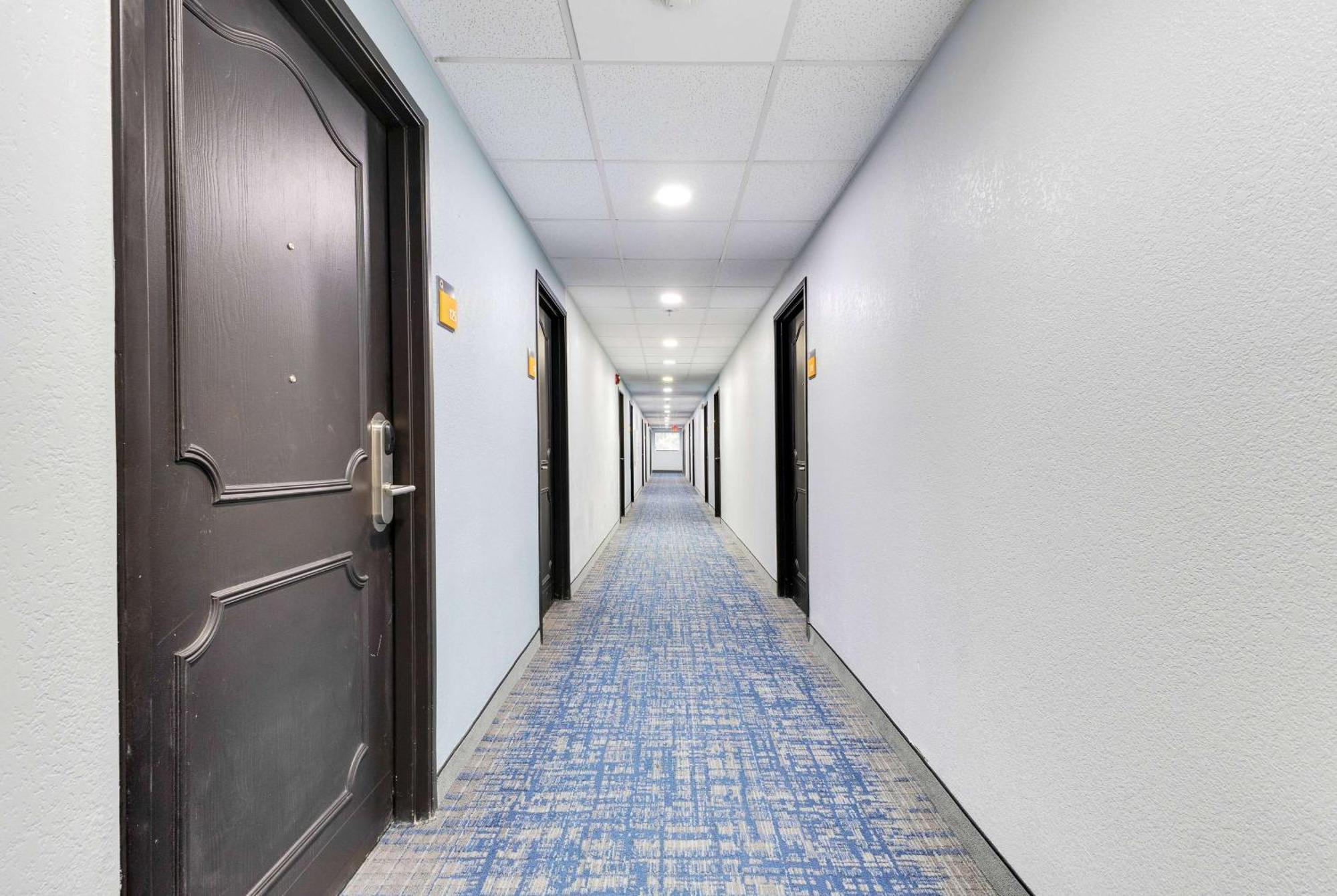 La Quinta Inn & Suites By Wyndham Jacksonville Mandarin Dış mekan fotoğraf